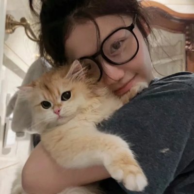 五虎风云之刘氏崛起